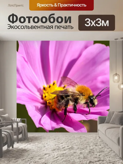Фотообои Приусадебный шмель