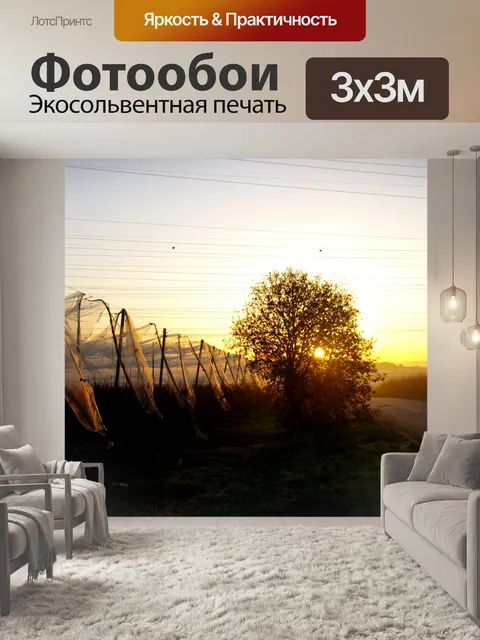 Фотообои Сети, дерево и дорога на рассвете