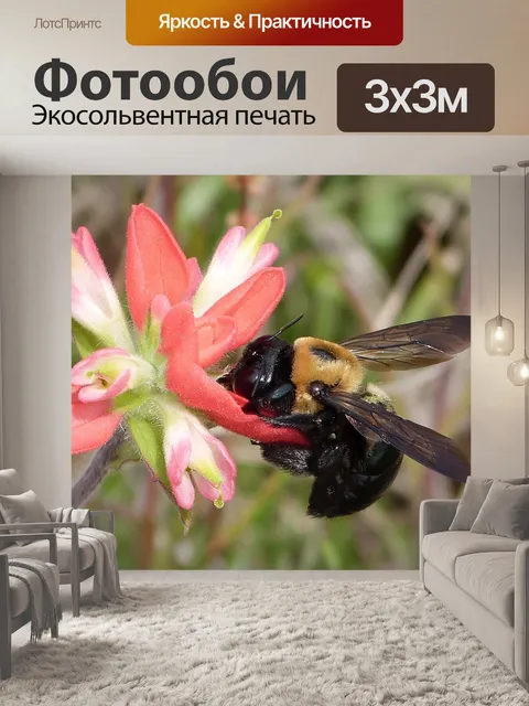 Фотообои Индийская кисть