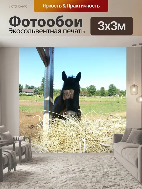 Фотообои Верховая едят сено