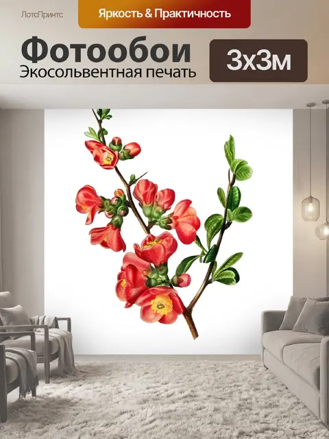 Фотообои Цветущая ветка фруктов арт