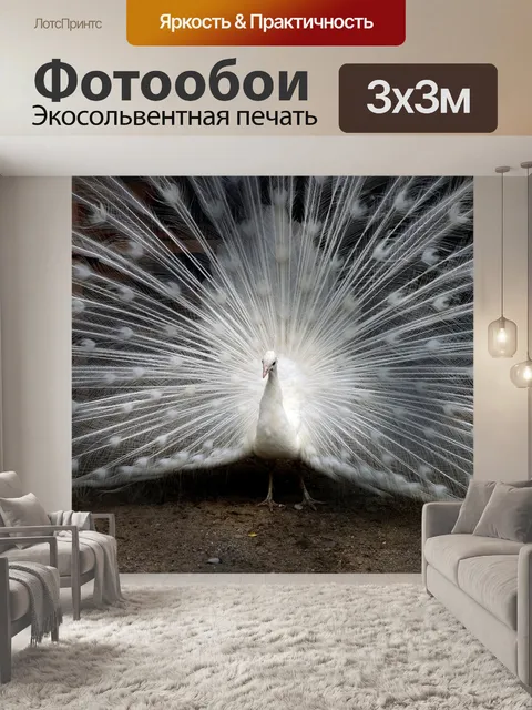 Фотообои Павлин