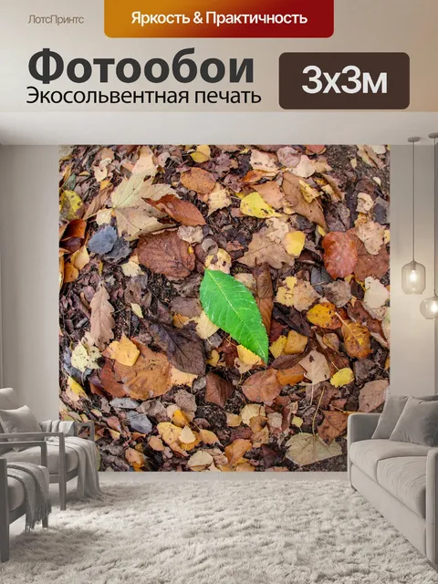 Фотообои Лист