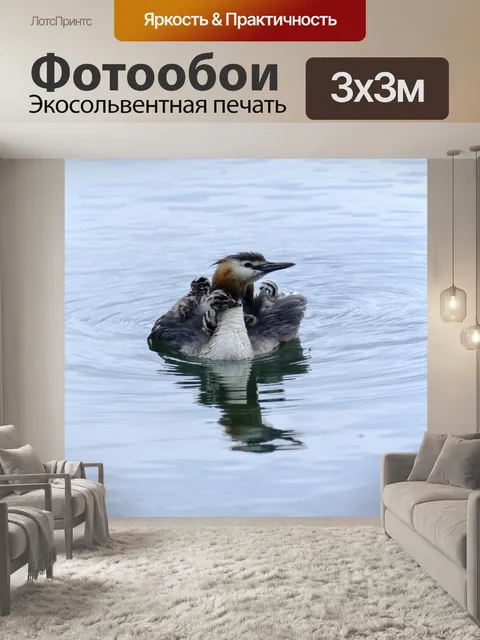 Фотообои Птицы