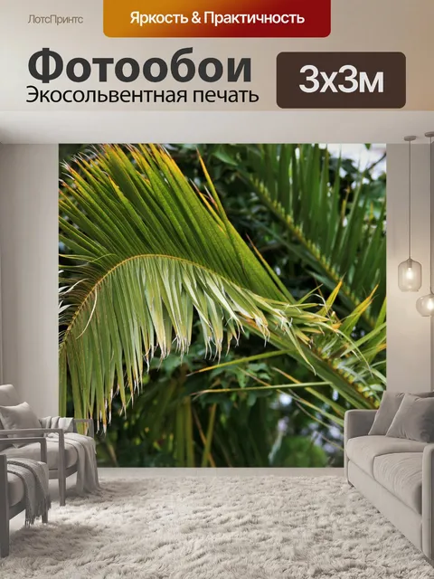 Фотообои изношен пальмовых листьев