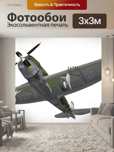 Фотообои полосатик самолет