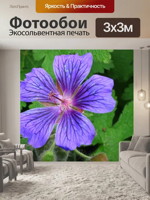 Фотообои Флора фиолетового сада