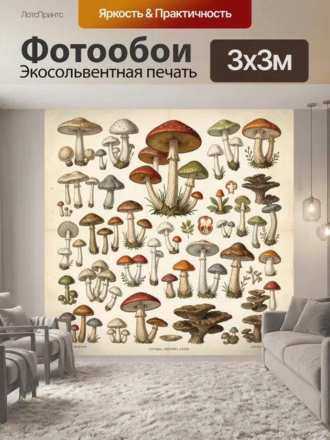 Фотообои Разнообразные лесные грибы