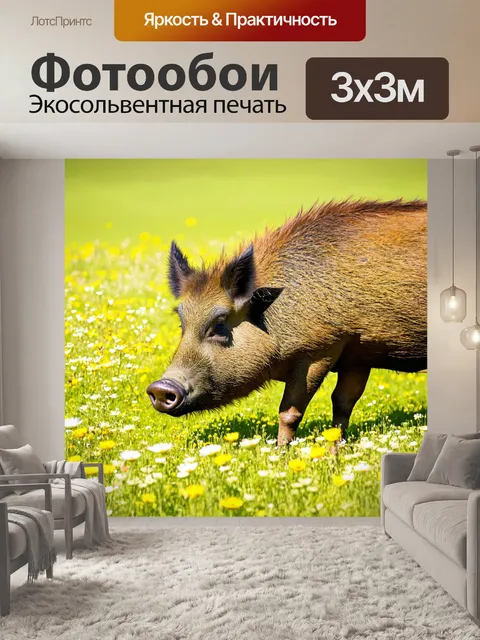 Фотообои кабан, мирно жующий траву на цветущем лугу
