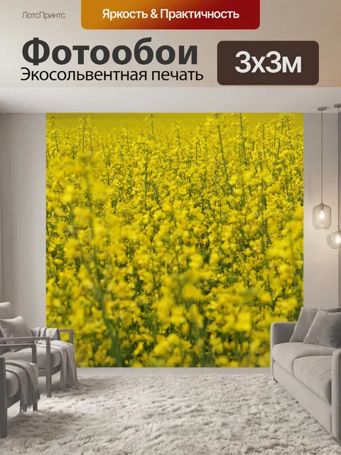 Фотообои Поле канолы