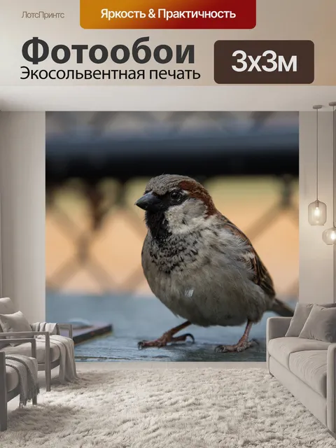 Фотообои Воробей