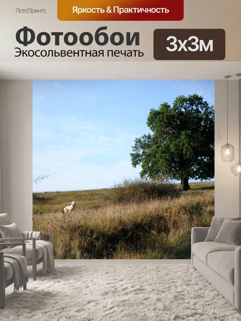 Фотообои Дерево
