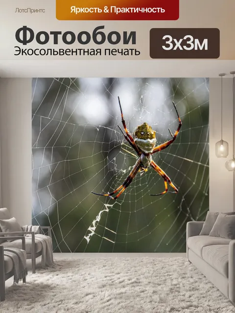 Фотообои Паук