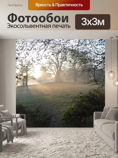 Фотообои Туман