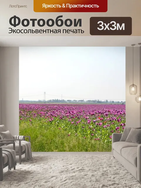Фотообои Маковое поле