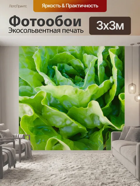 Фотообои Салат овощной листовой салат