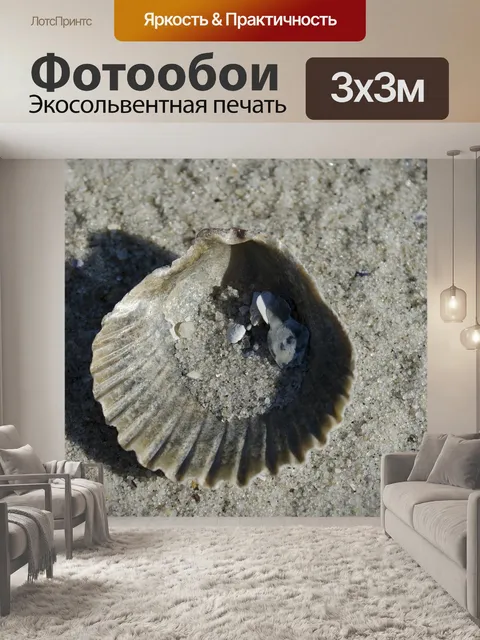 Фотообои Морская ракушка