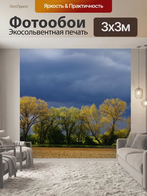Фотообои Небо облака поля деревья