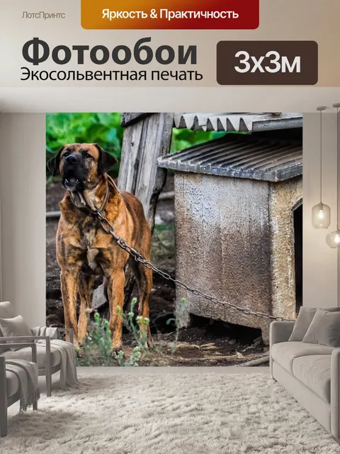 Фотообои Собака
