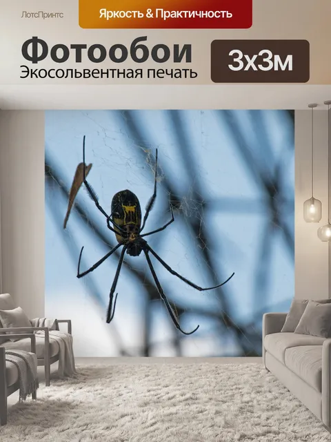 Фотообои золотой шар ткач паук на паутине