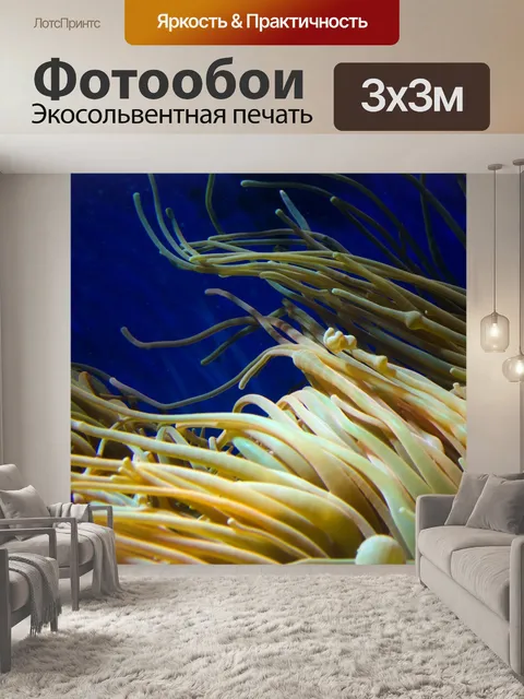 Фотообои Подводные растения