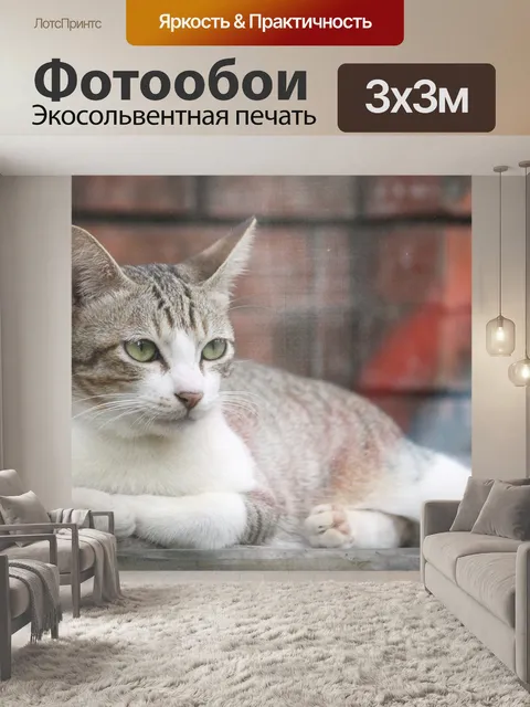Фотообои Кошка
