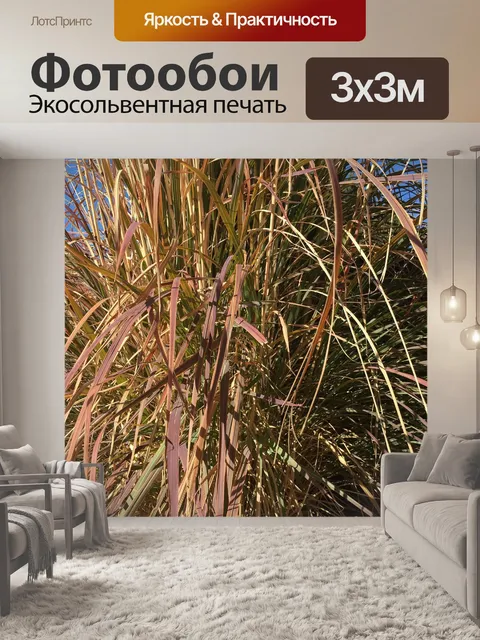 Фотообои Трава