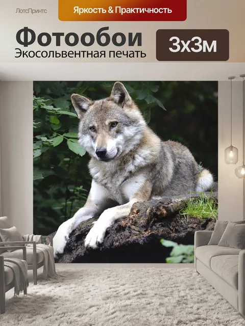 Фотообои Волк