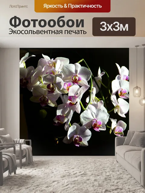 Фотообои Орхидея
