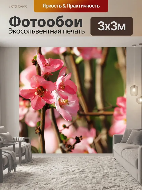 Фотообои Сидней персика цветок весной