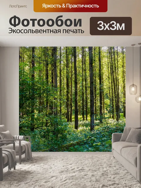 Фотообои Тополиная роща
