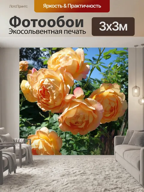 Фотообои Розы