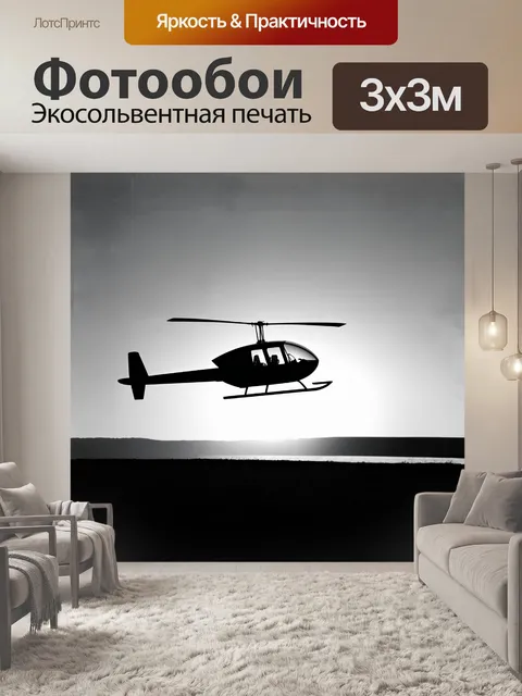 Фотообои минималистическое изображение автожира в черно-белом цвете