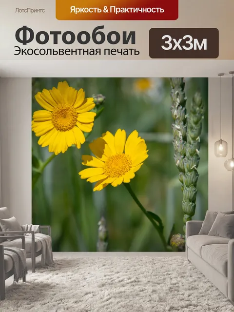 Фотообои Желтый цветок, желтые лепестки