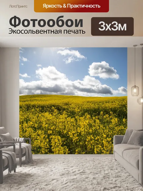 Фотообои Область желтого рапса