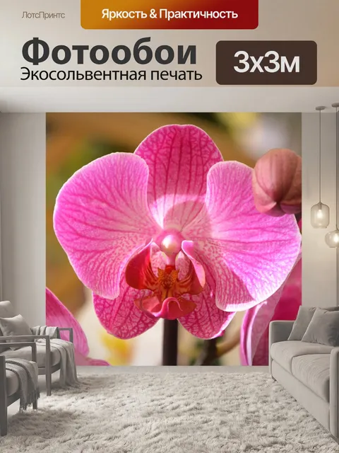 Фотообои Орхидея ярко-розовый