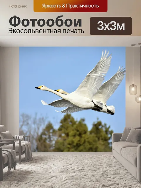 Фотообои Животное