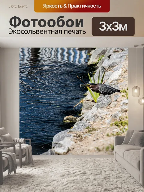 Фотообои Зеленая цапля поймала рыбу