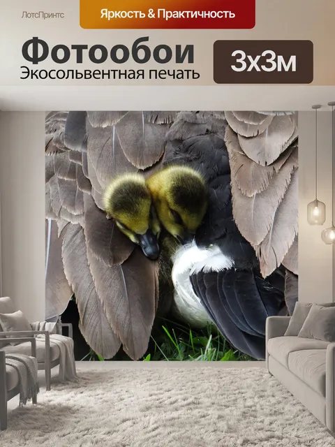 Фотообои Все заправил!