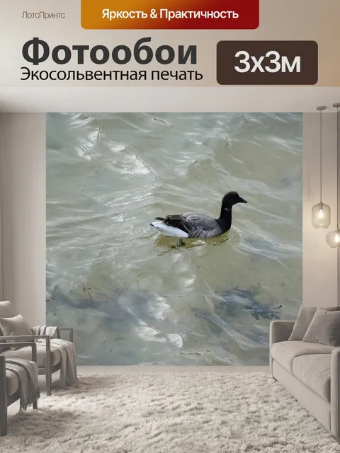 Фотообои Гусь, гуси
