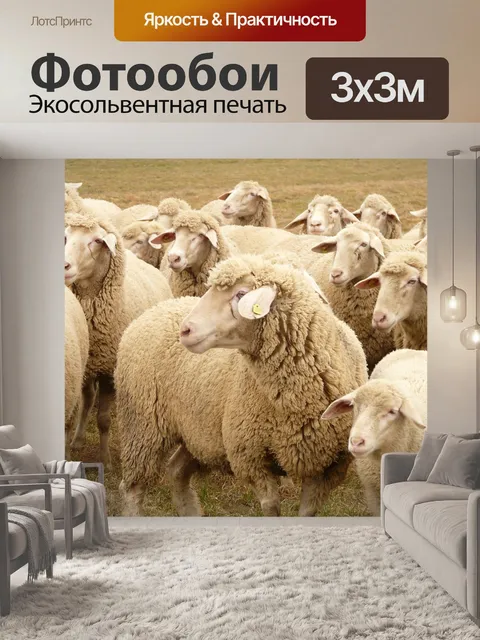Фотообои Стадо овец