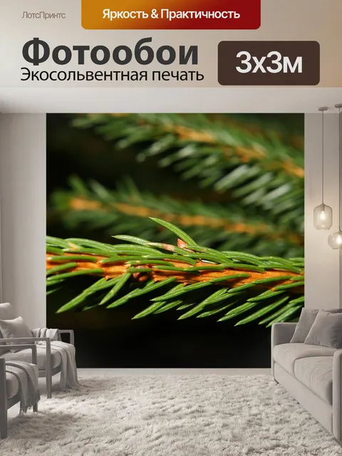 Фотообои Еловая ветка
