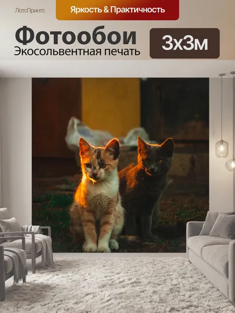 Фотообои Кошки