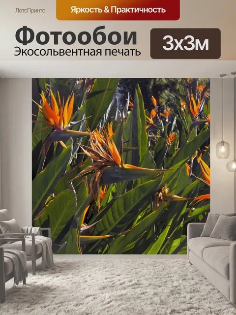 Фотообои Райская птица сад