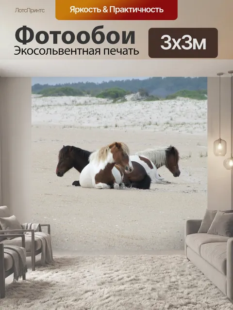 Фотообои Дикие лошади