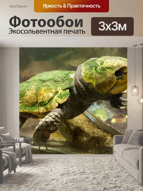 Фотообои Черепаха с большой головой