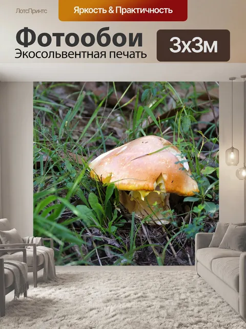 Фотообои Осень