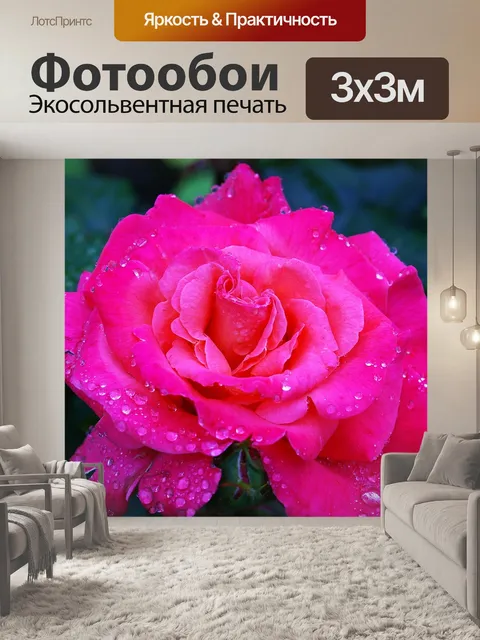 Фотообои Роза