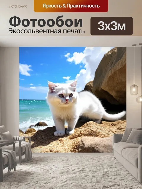 Фотообои на берегу моря, среди камней и песка, играет белая кошка