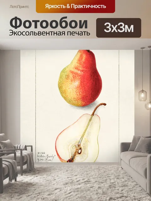 Фотообои Винтажное искусство груши